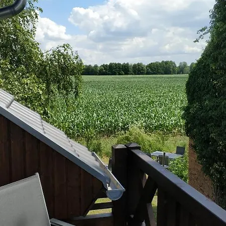 Ferienwohnung Im Spreewald In Idyllischer Alleinlage Werben  Buitenkant foto