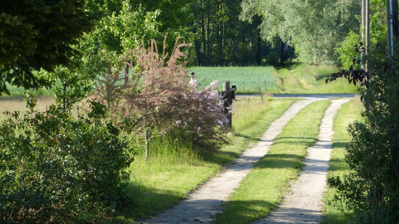 Im Spreewald In Idyllischer Alleinlage Apartment Werben (Brandenburg)