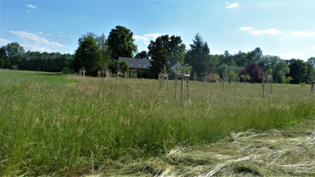Im Spreewald In Idyllischer Alleinlage Apartment