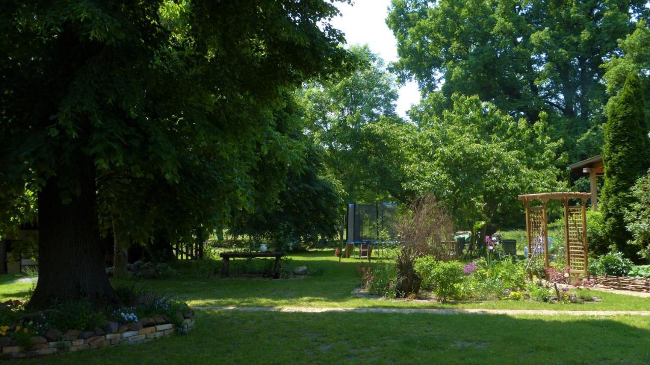 Apartment Im Spreewald In Idyllischer Alleinlage Werben (Brandenburg)